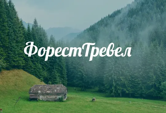 Forest-Travel